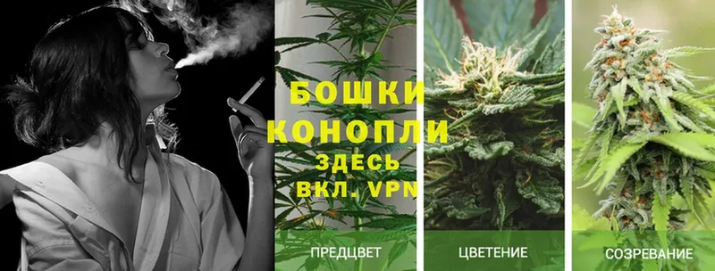 Канабис SATIVA & INDICA  продажа наркотиков  Железноводск 